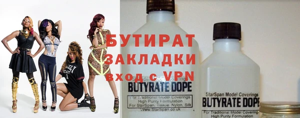 индика Заволжье
