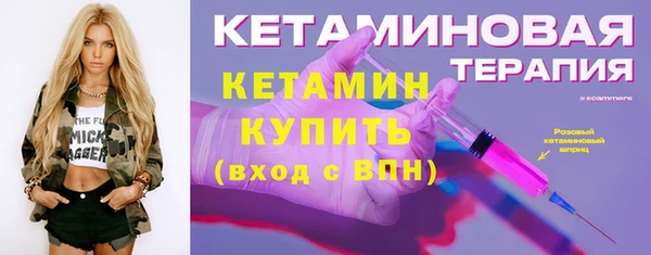 индика Заволжье