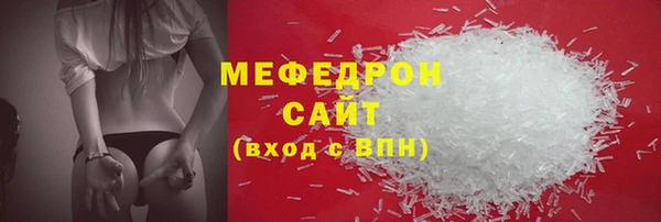 индика Заволжье