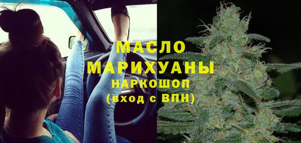 индика Заволжье