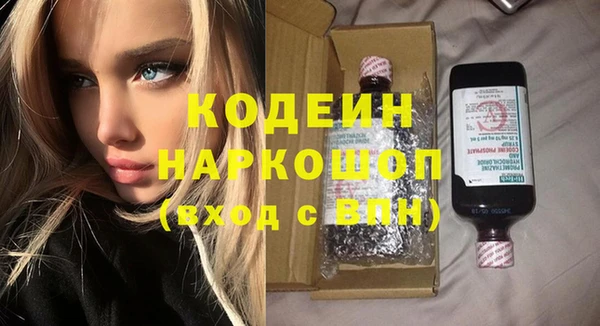 индика Заволжье