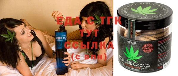 индика Заволжье