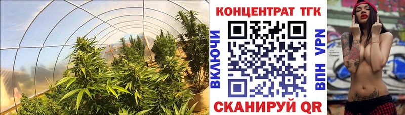 Купить где  Ивантеевка  ТГК вейп с тгк 