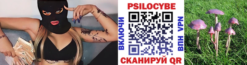 Купить где Ивантеевка Галлюциногенные грибы Psilocybine cubensis